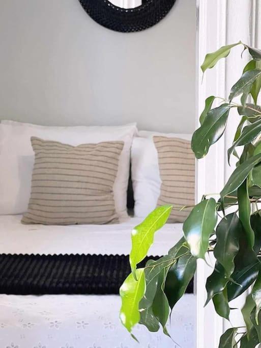 Ammoudara Apartment'S Kalymnos Town Ngoại thất bức ảnh